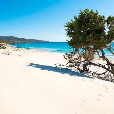 Pensjonat Santantioco Red With 2-way Air Con 3*